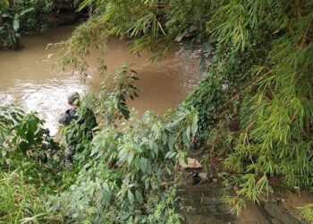 Guarda Ambiental resgata homem do córrego que passa pela estrada da Roselandia