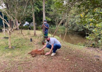 Dia do Meio Ambiente é lembrado com plantio no Jardim Adelina