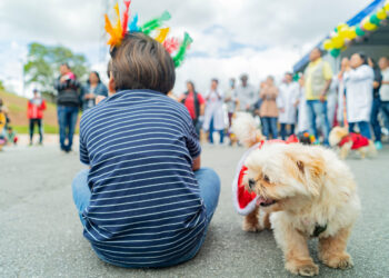 Orientação vacinação e muito mais movimentaram o “Vigilâncias em Ação”