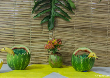 Baile do Hawaii foi o tema da festa da Melhor Idade no FS de Caucaia