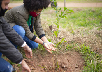 Meio Ambiente de Cotia lembra o ‘Dia de Proteção às Florestas’ com plantio