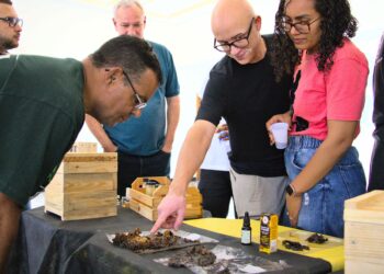 1º Fórum das Abelhas reuniu especialistas sobre o assunto em Cotia