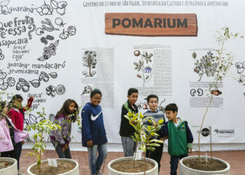 Exposição Pomarium termina neste domingo