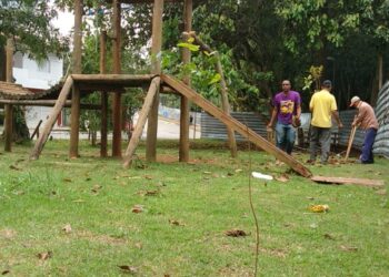 No Dia da Árvore Prefeitura lança o programa Cotia + Verde   