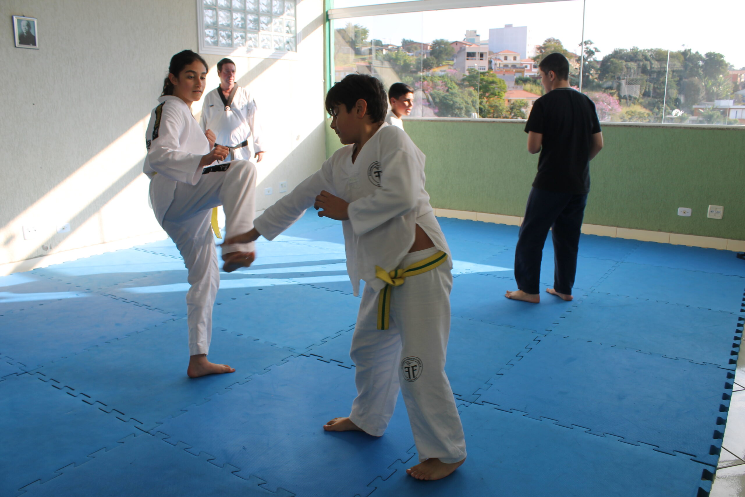 taekwondo 2