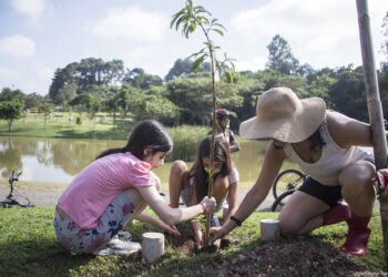 Cotia terá circuito ambiental em celebração à Semana Mundial do Meio Ambiente