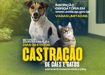 Cotia abre inscrições para castração de cães e gatos que acontece nos dias 6 e 7/05