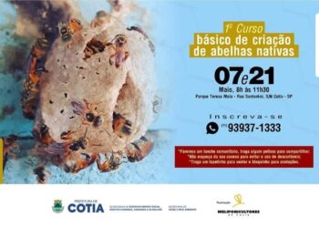 Cotia tem inscrições para o 1º Curso Básico de Criação de Abelhas Nativas