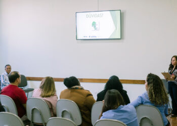 Construção de Plano de Ação foi o tema de capacitação oferecida para ILPIs