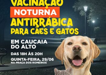 Dia 29/06, o Setor de Zoonoses realizará vacinação noturna em cães e gatos em Caucaia