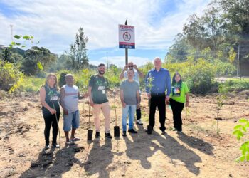‘Cotia +Verde’ plantou 200 mudas de árvores em área usada como descarte irregular
