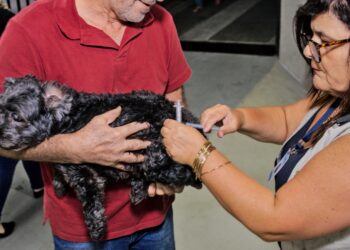Domingo, 25/06, é dia de vacinação antirrábica para cães e gatos