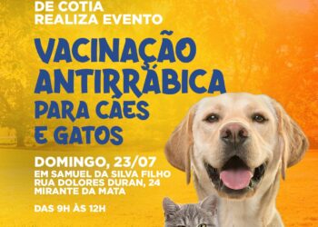 Ação de vacinação antirrábica de julho será no Mirante da Mata