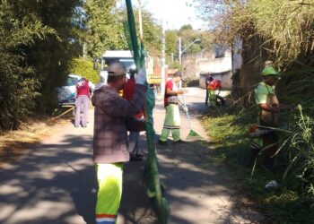 Serviços de limpeza e roçagem são executados em diversos pontos da cidade