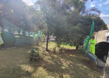 Prefeitura realiza limpeza e roçagem em diversas ruas de Cotia