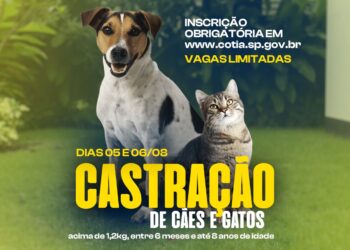 Castração de Cães e Gatos