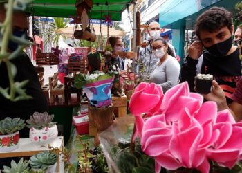 Feira de Artes oferecem produtos criativos a céu aberto