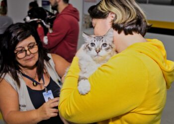 Dia 31/08 tem vacinação antirrábica de cães e gatos das 15h às 20h