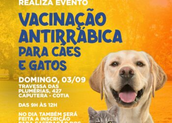 Zoonoses realiza vacinação antirrábica e inscrição para castração de cães e gatos no Caputera