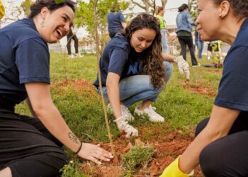 Dia da Árvore foi celebrado com centenas de mudas nativas plantadas em Cotia e abertura do ‘Desafio Ambiental’
