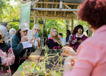 Do Mato Pro Prato: Cotia realizou mais uma edição da oficina sobre plantas alimentícias