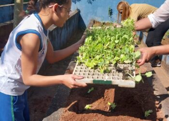 Secretaria do Verde realiza mais uma edição da “Horta Solidária” com alunos com deficiência