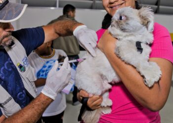 Domingo (24) tem vacinação antirrábica para cães e gatos no Jd. Sandra