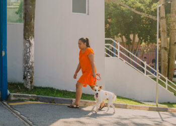 Inscrições abertas para castração de cães e gatos que acontecerá nos dias 28 e 29/10