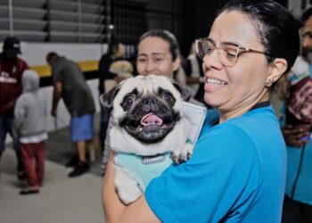 Dia 5/11, Setor de Zoonoses realizará vacinação antirrábica para cães e gatos no Colinas de Cotia
