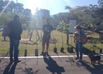 Cotia participa do Rotary Day com distribuição de mudas de árvores e recolhimento de lixo eletrônico