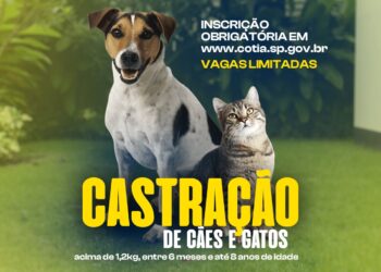 Castração de Cães e Gatos