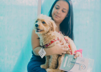 Inscrições abertas para castração de cães e gatos que acontecerá nos dias 9 e 10/12, no Parque São George