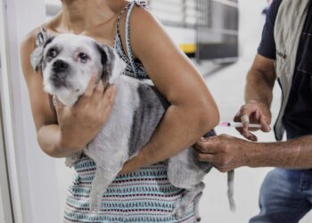 Domingo (17/12), Parque Turiguara recebe Ação de Vacinação Antirrábica para cães e gatos