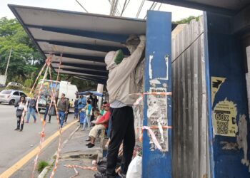 Em parceria com meliponicultor, enxame de marimbondos é retirado de ponto de ônibus