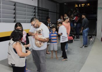 Cotia realiza mais uma edição da vacinação antirrábica noturna para cães e gatos   