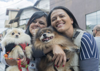 Sábado, 02/03, é a vez do Morro Grande receber a Ação de Vacinação Antirrábica de Rotina para cães e gatos