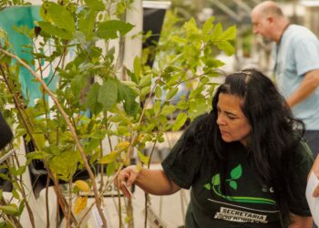 Meio Ambiente realiza os projetos ‘Pedágio Ambiental’ e ‘Sucata Digital’ no sábado (3/02)
