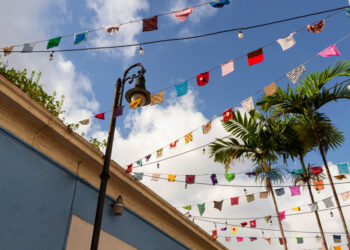 Festa Junina da APAE vai angariar recursos para projetos da instituição