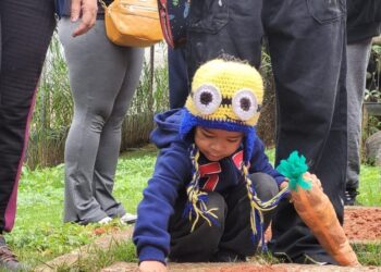 Musicoterapia e plantio auxiliam atendimento de crianças autistas