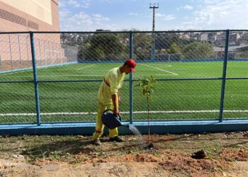 Arborização Urbana: Secretaria do Meio Ambiente realiza plantio no Jardim Leonor
