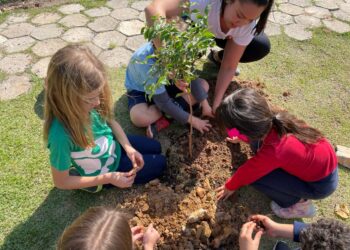 Cotia efetua mais dois projetos em prol da Semana Nacional do Meio Ambiente