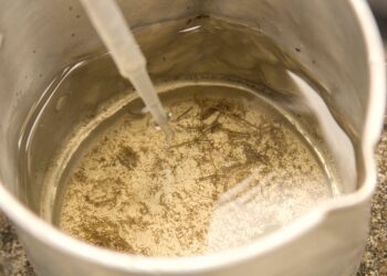 Cotia participa da Semana de Mobilização contra a Dengue de 11 a 16 de novembro