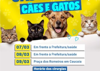 Castramóvel de Cotia estreia atendimento nos dias 7, 8 e 9/03/25