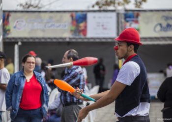 Inscrições abertas para a eleição do Conselho Municipal de Cultura de Cotia