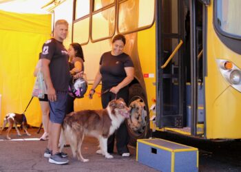 Mais de 350 animais atendidos na 1ª edição do serviço móvel de castração de Cotia