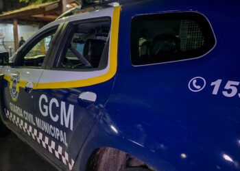 Operação da GCM de Cotia e Polícia Militar impede festa clandestina no Pq. Miguel Mirizola