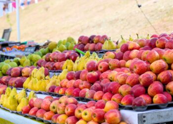 Inscrições abertas para o evento ‘Agro Cotia’ de capacitação pelo Sebrae