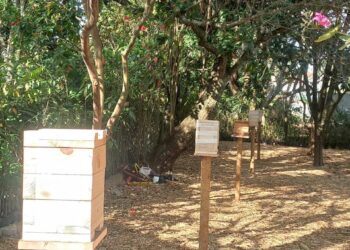 Cotia implanta o 1º Meliponário Municipal no Viveiro Parque Curupira