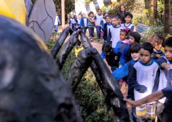 Brincar é coisa séria em Cotia e tem programação especial