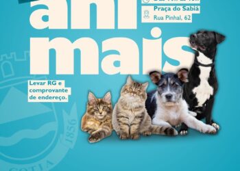 Sábado (16/08) é dia de Feira de Adoção de Animais no Jardim Sabiá